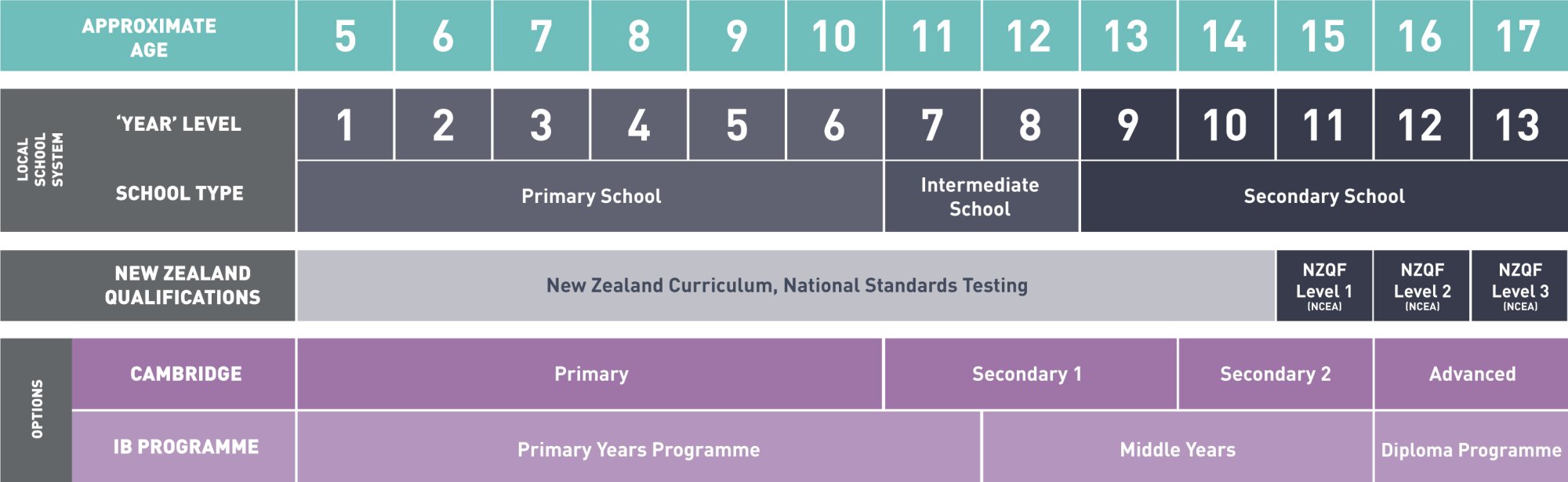 NZ_Education_School-pathway_Diagram-1.jpg